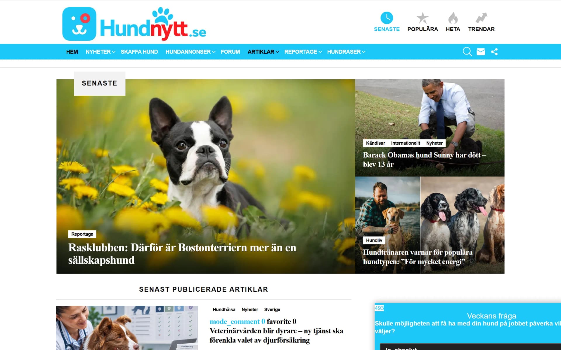 Hundnytt, hemsida byggd av Elithan