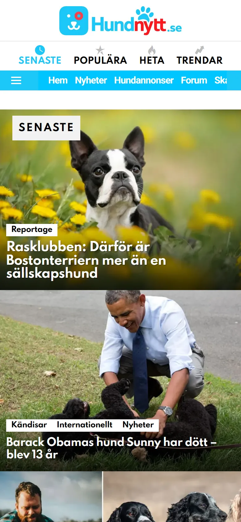 Hundnytt, mobilvy